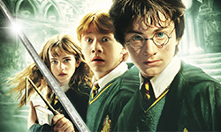 Festa Infantil Harry Potter | Festabox