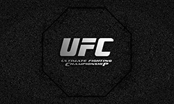 Festa Infantil UFC | Festabox